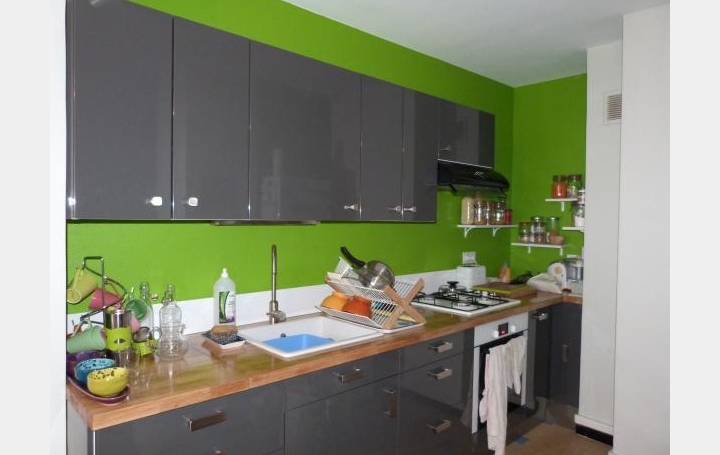 Annonces MAGALAS : Appartement | GRENOBLE (38000) | 52 m2 | 595 € 